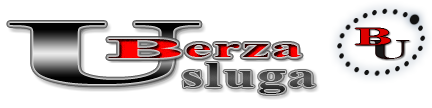 Berza Usluga Logo